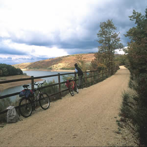 TALLER DE V&Iacute;A VERDE CON SONIA